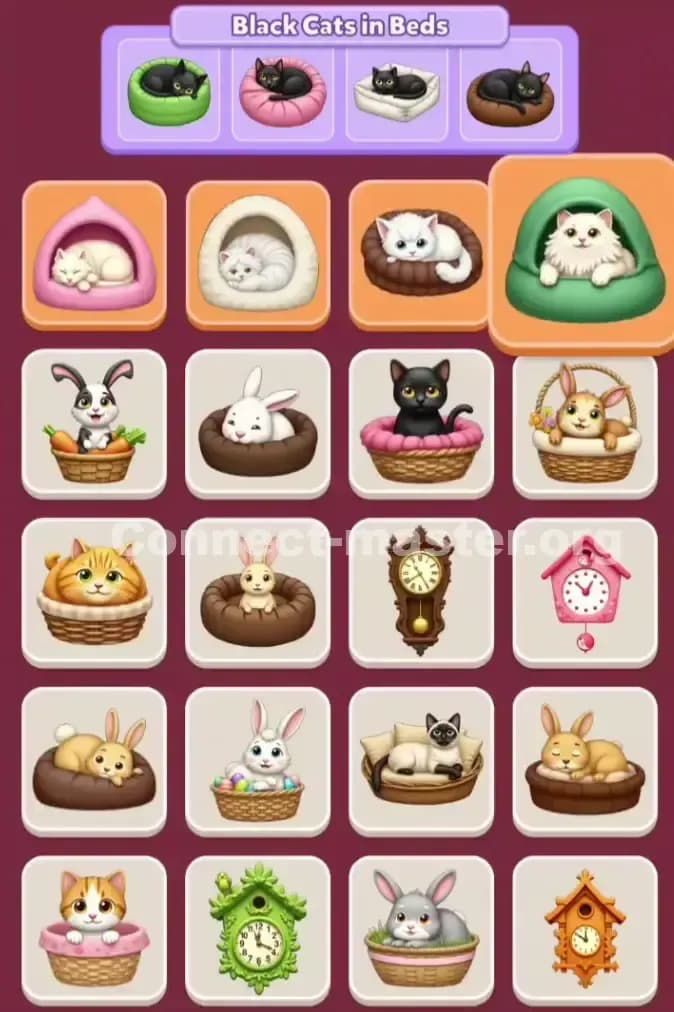 Connect Master Level 1110 Solution 3