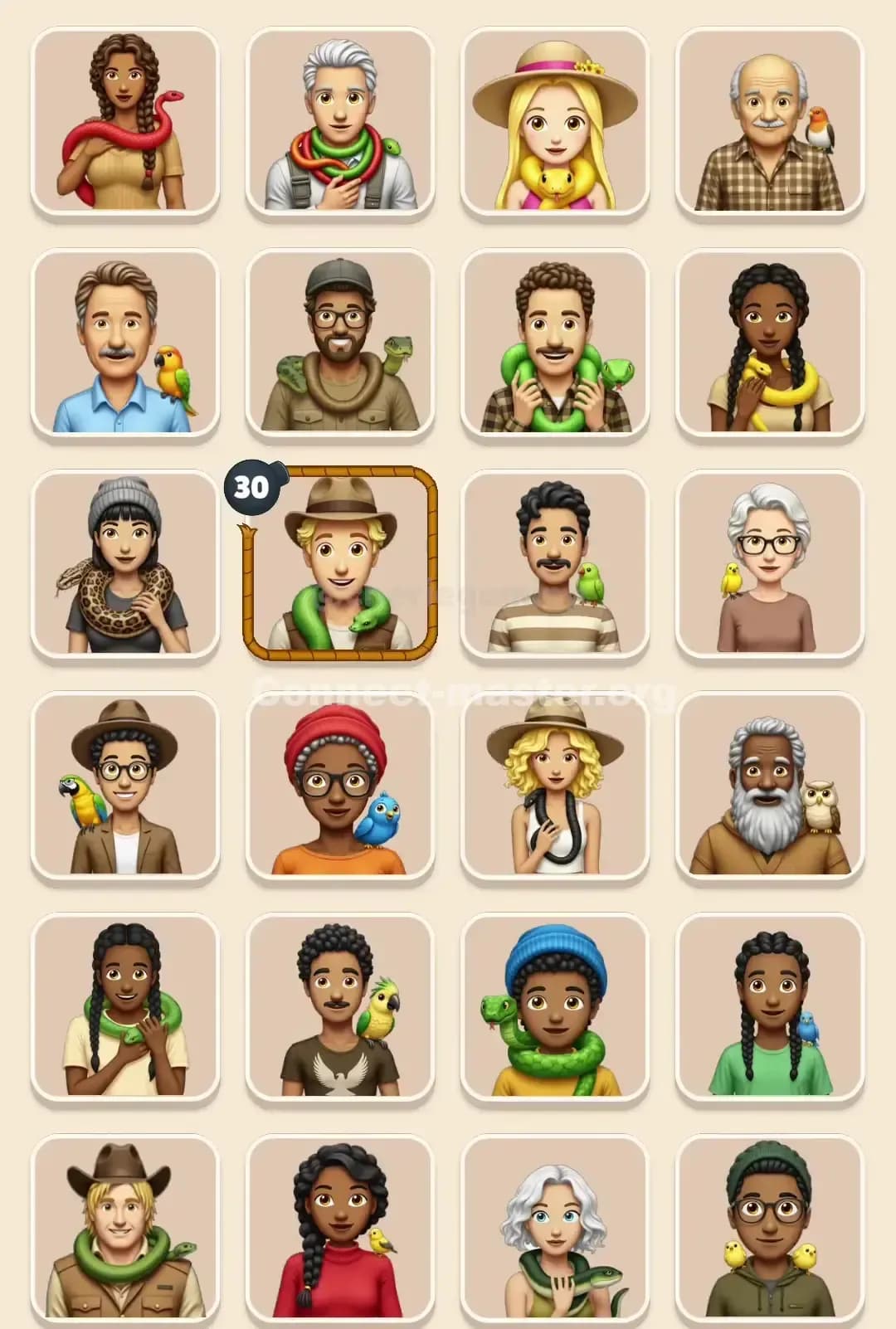 Connect Master Level 800 Solution 1