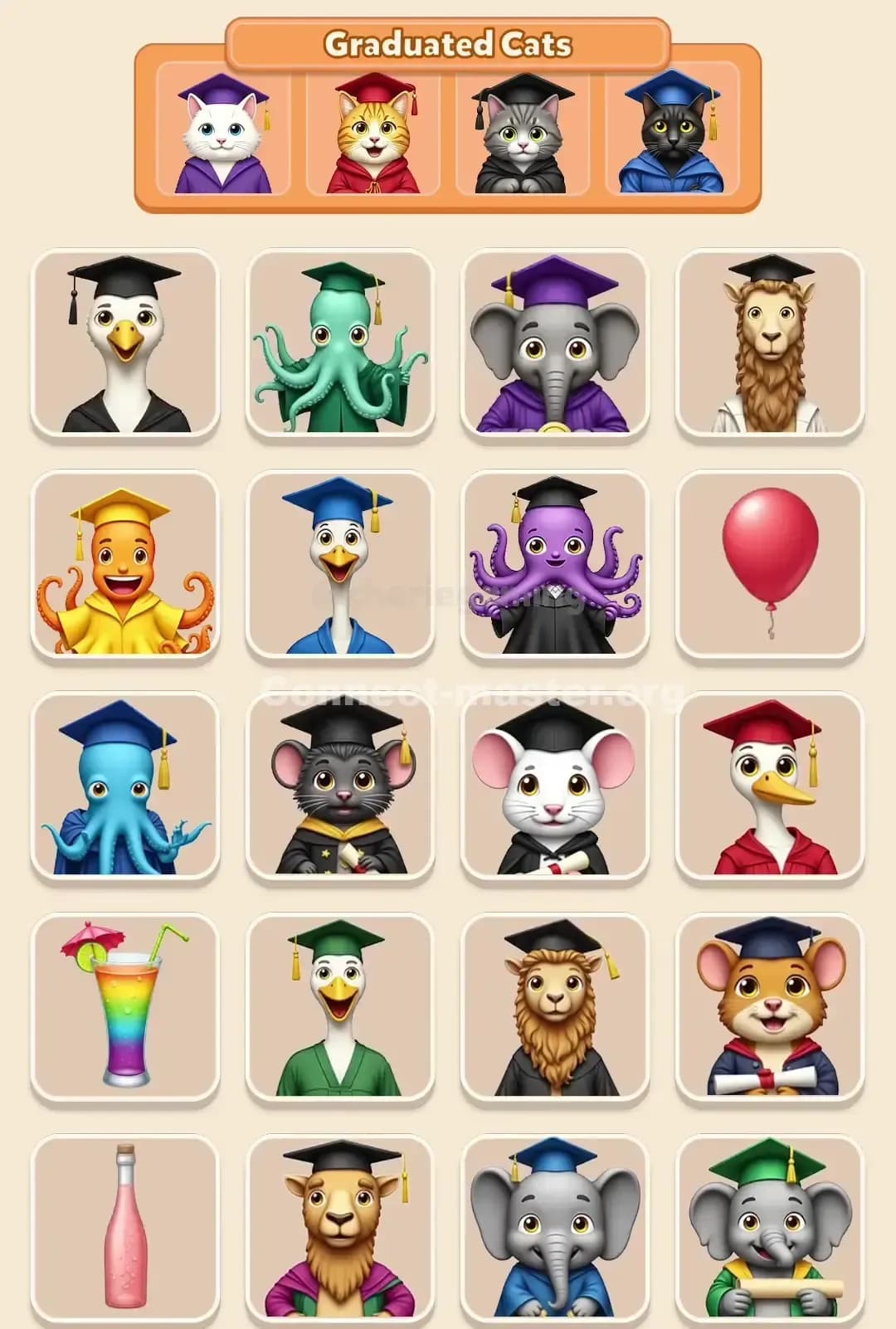 Connect Master Level 772 Solution 3