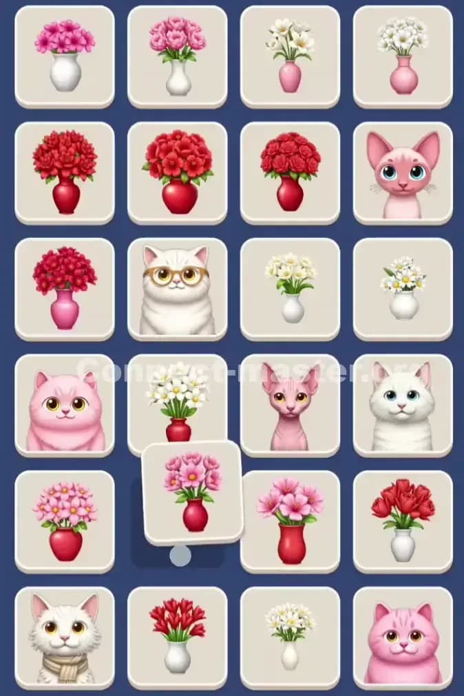 Connect Master Level 1147 Solution 2
