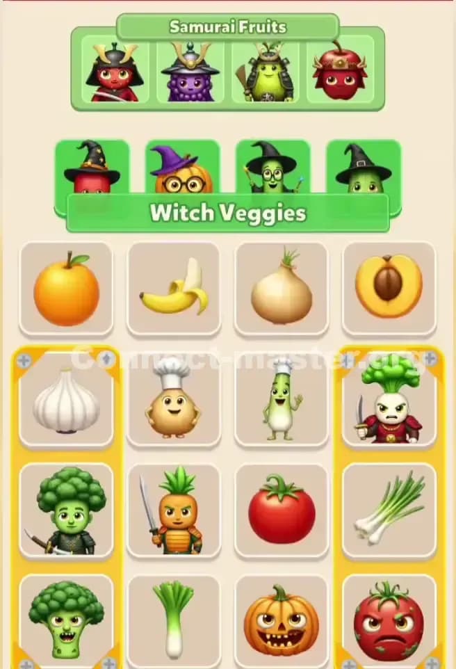 Connect Master Level 270 Solution 1