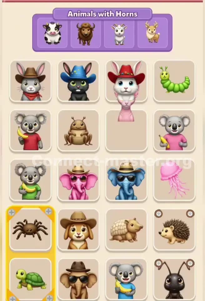 Connect Master Level 320 Solution 2