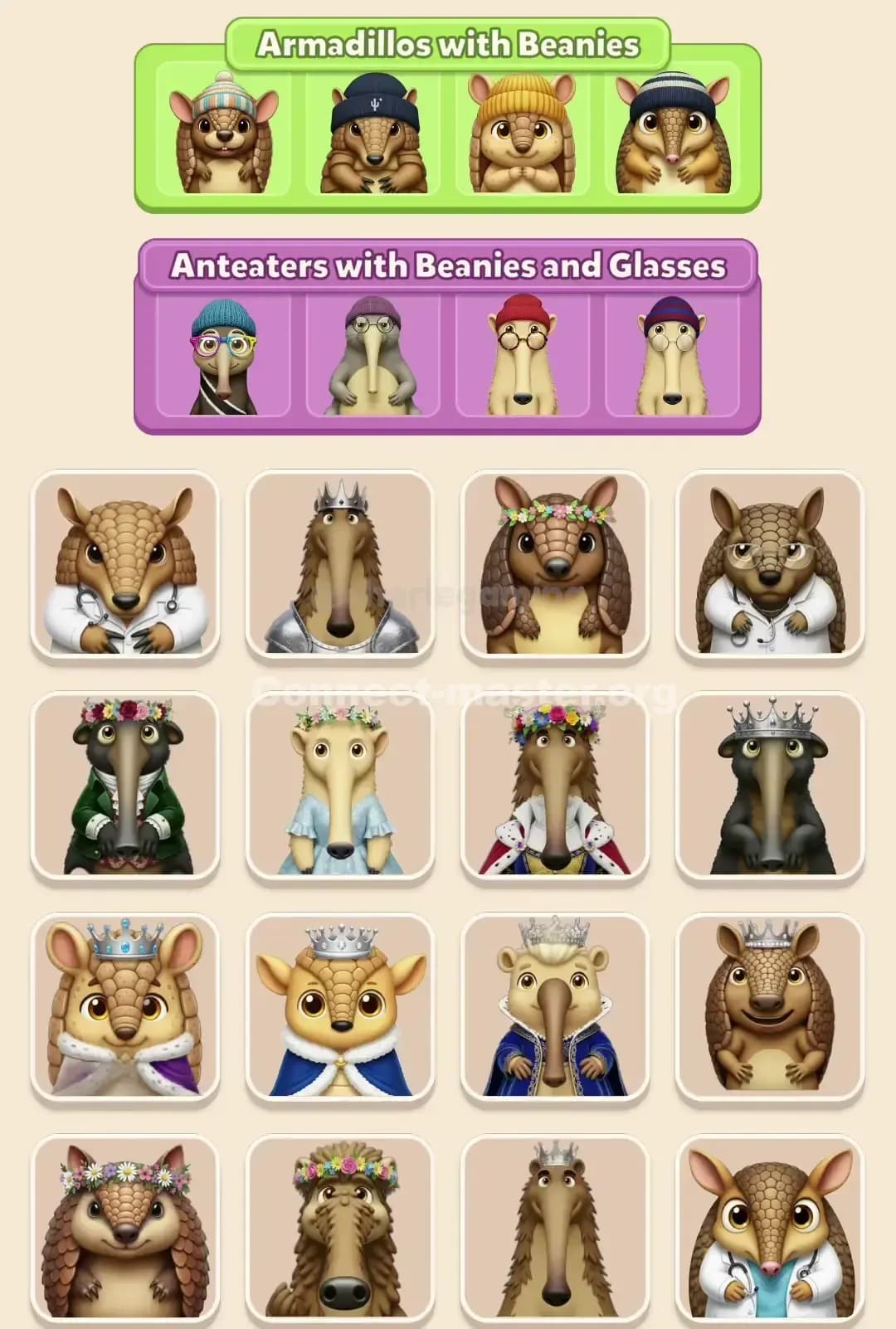 Connect Master Level 695 Solution 3