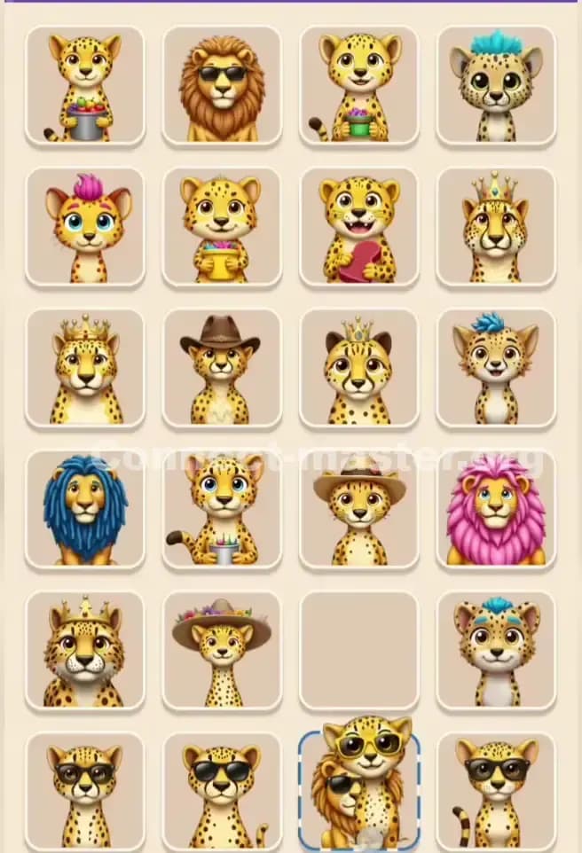 Connect Master Level 355 Solution 1