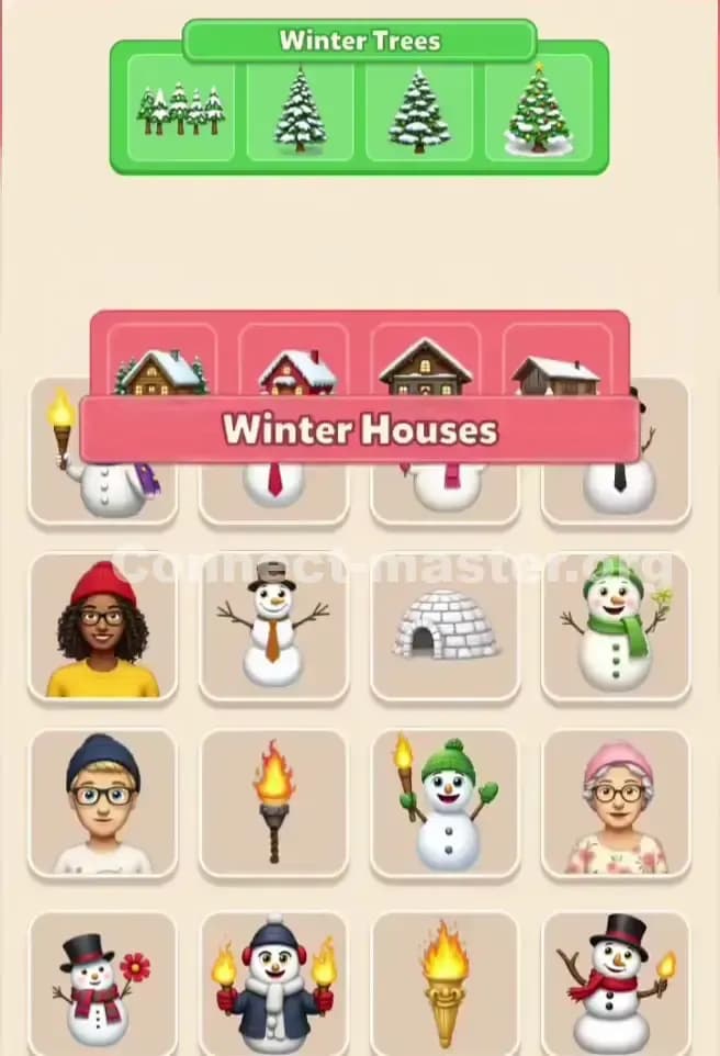 Connect Master Level 307 Solution 1