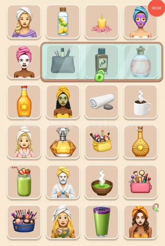 Connect Master Level 530 Solution 1