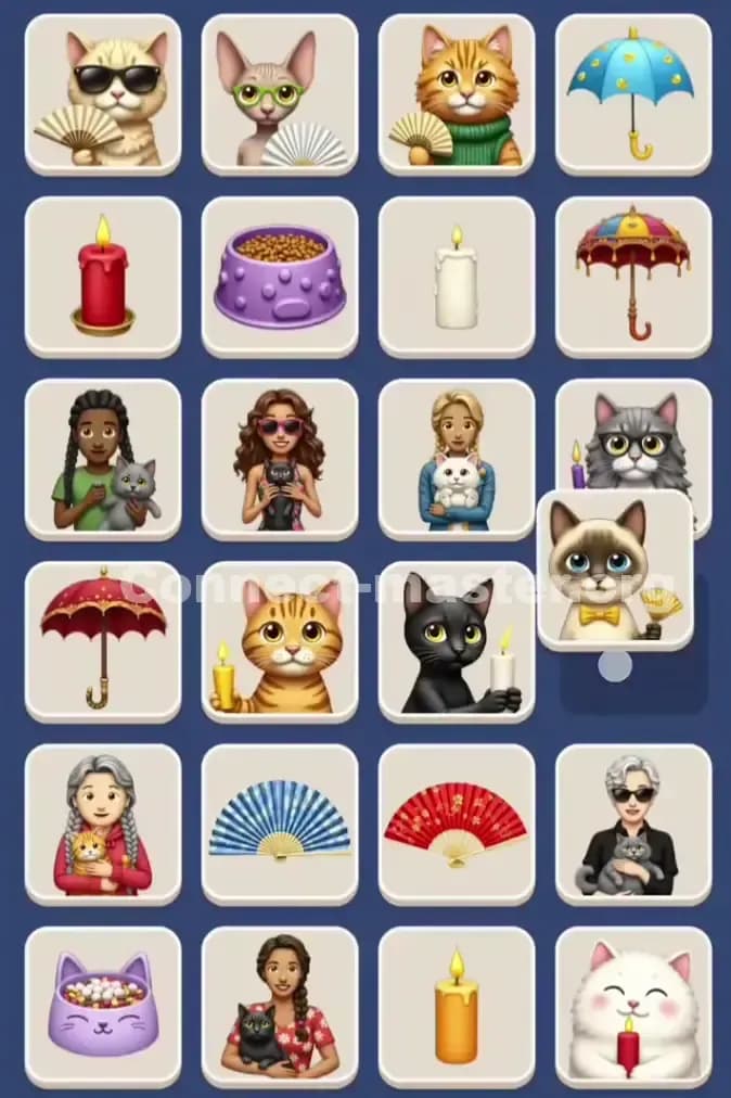 Connect Master Level 876 Solution 2