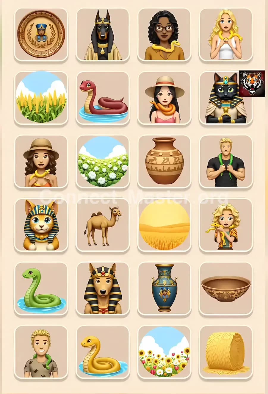 Connect Master Level 824 Solution 1