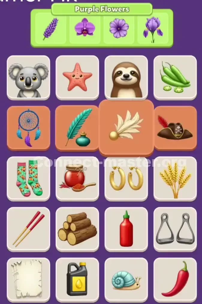 Connect Master Level 915 Solution 3