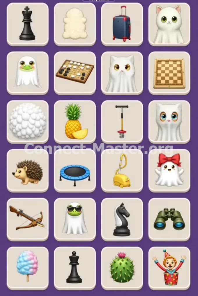 Connect Master Level 955 Solution 1
