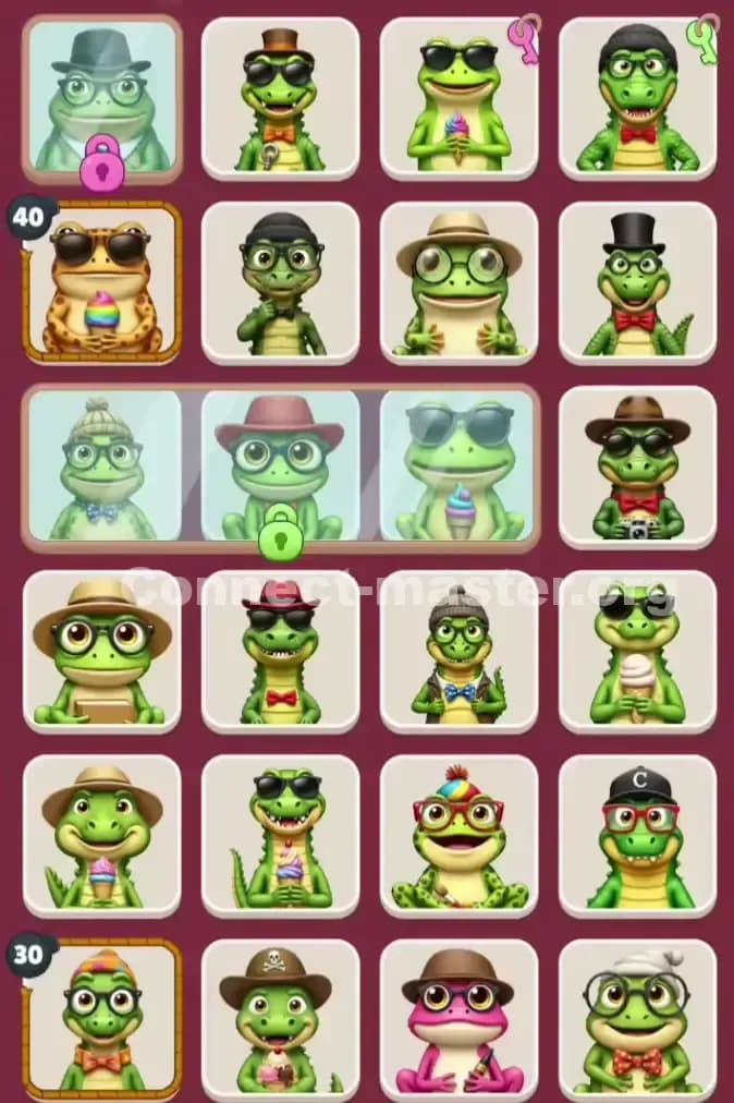 Connect Master Level 1250 Solution 1