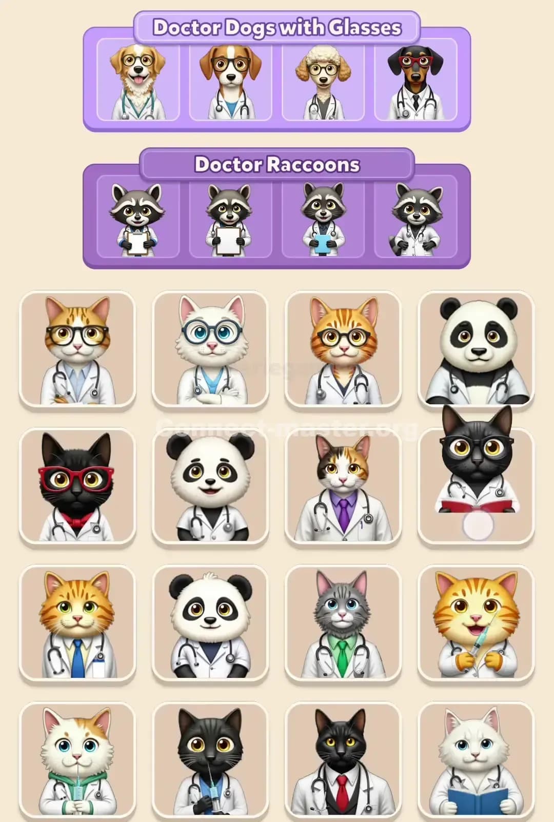 Connect Master Level 748 Solution 3