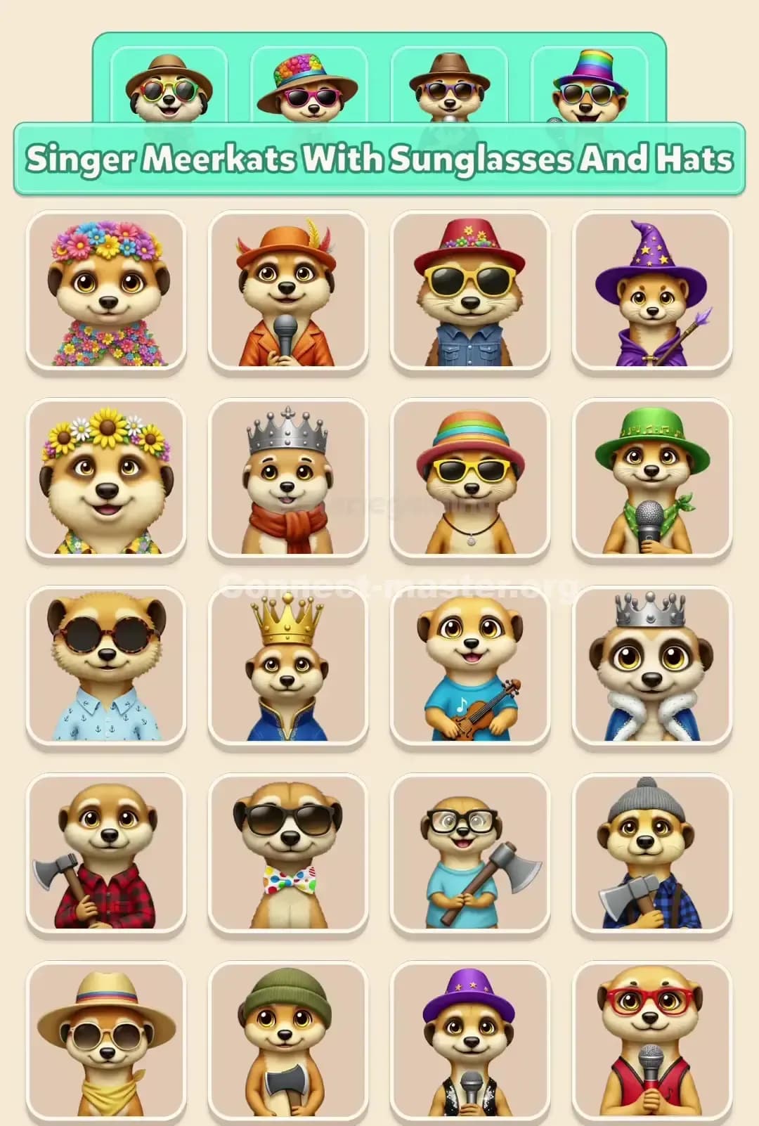 Connect Master Level 660 Solution 2