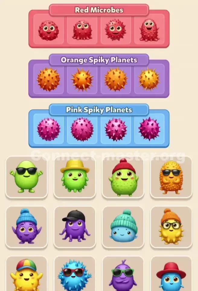 Connect Master Level 310 Solution 3