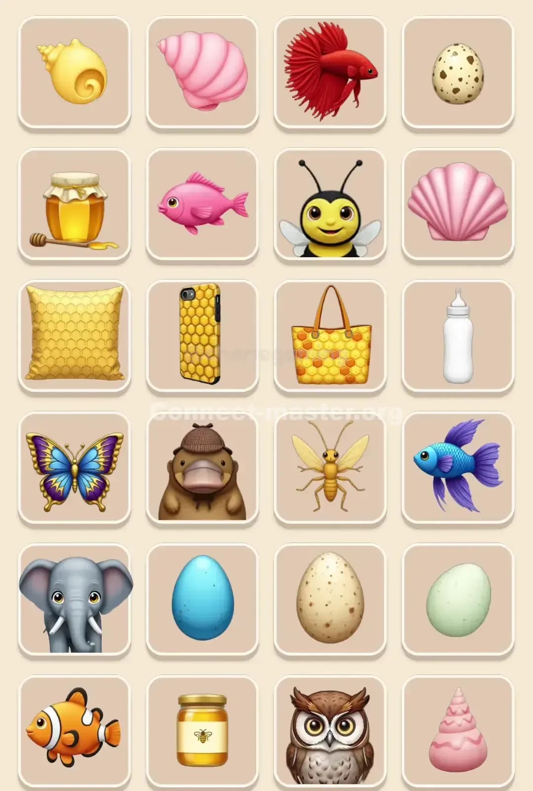 Connect Master Level 798 Solution 2