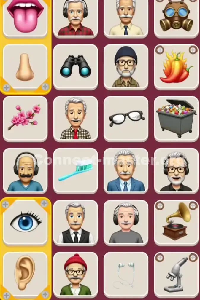 Connect Master Level 890 Solution 1