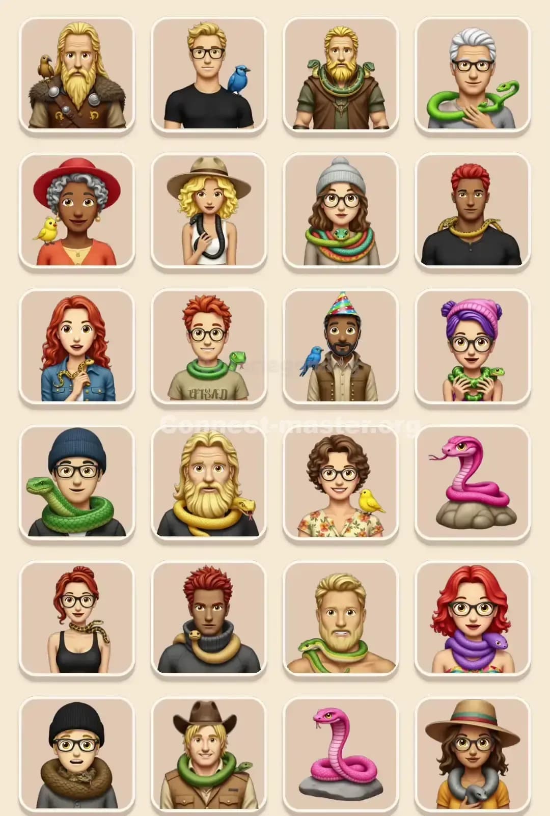 Connect Master Level 755 Solution 1