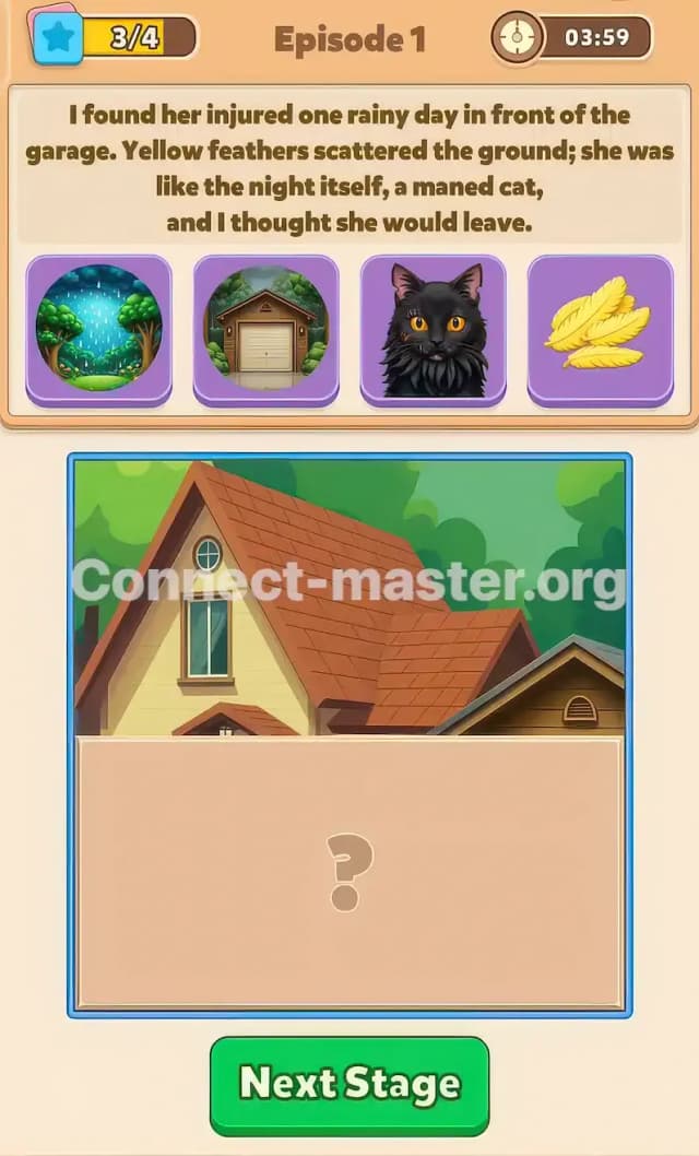 Connect Master Story Answer The Black Cat Episode 1 Stage 3