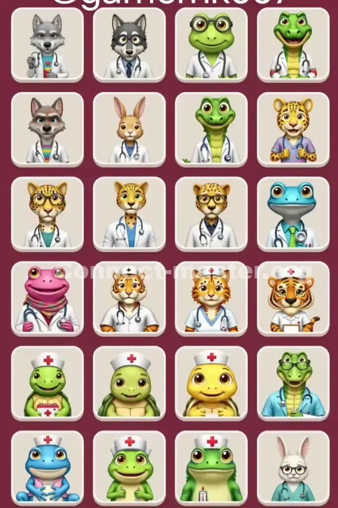 Connect Master Level 1240 Solution 3