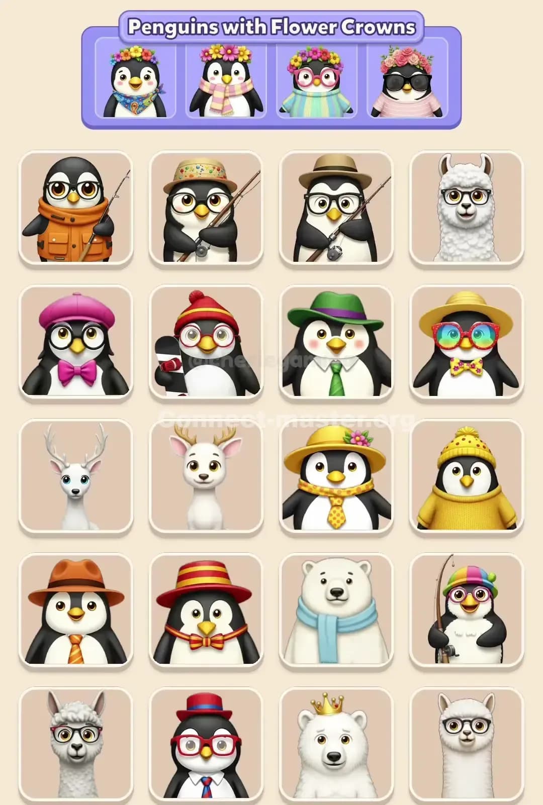 Connect Master Level 670 Solution 3