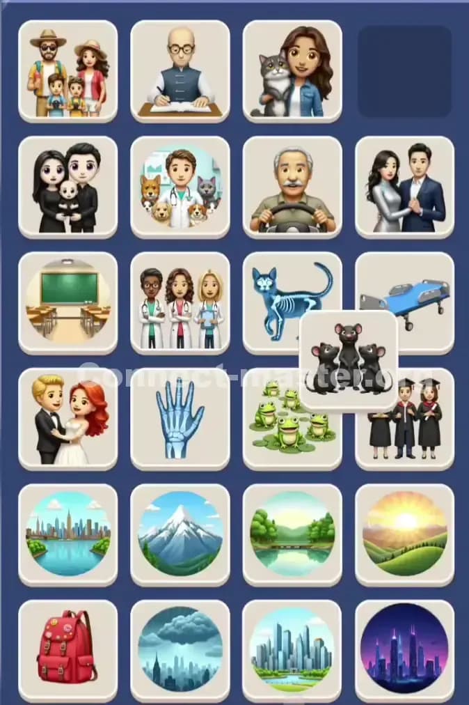 Connect Master Level 913 Solution 2