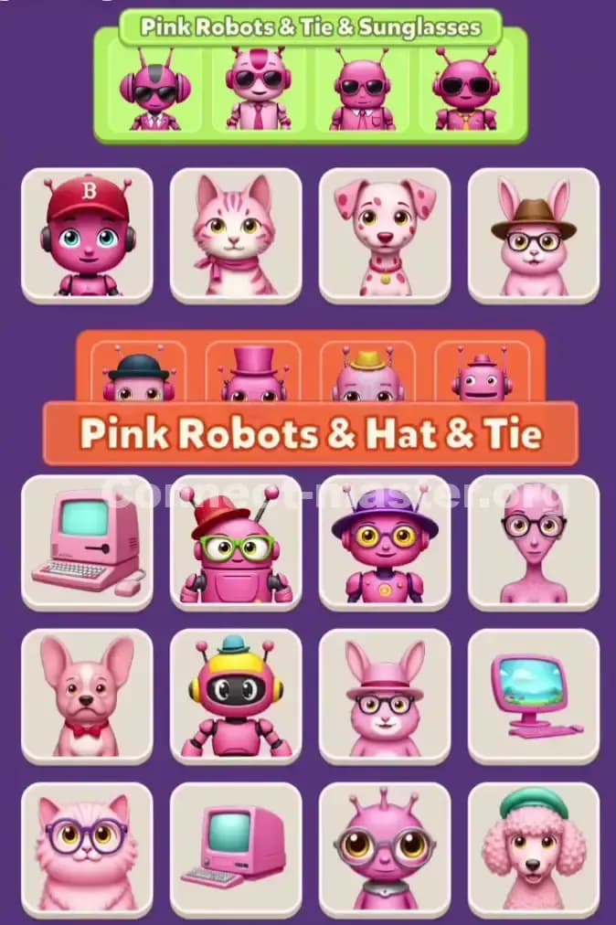 Connect Master Level 935 Solution 3