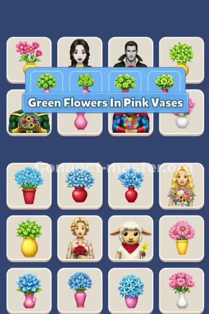 Connect Master Level 914 Solution 2