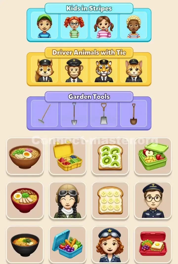 Connect Master Level 224 Solution 3