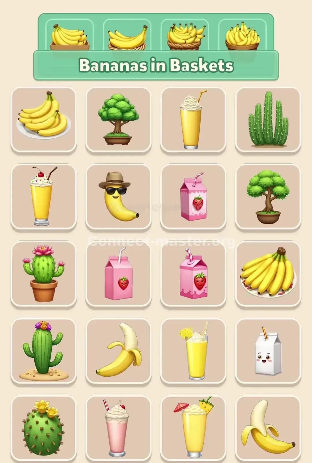 Connect Master Level 730 Solution 2