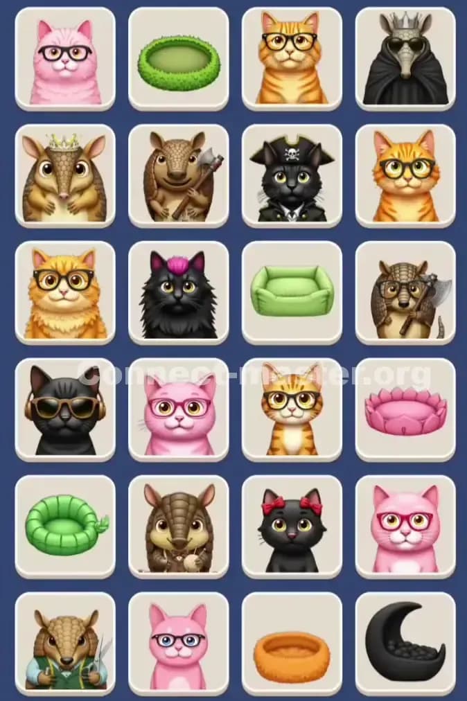 Connect Master Level 896 Solution 1