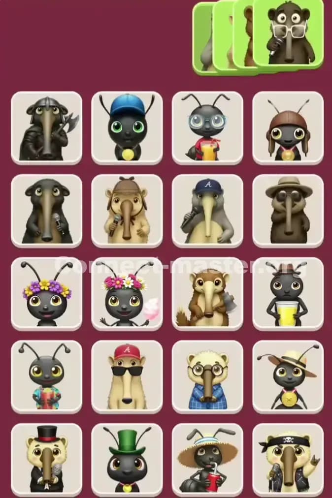 Connect Master Level 1020 Solution 2