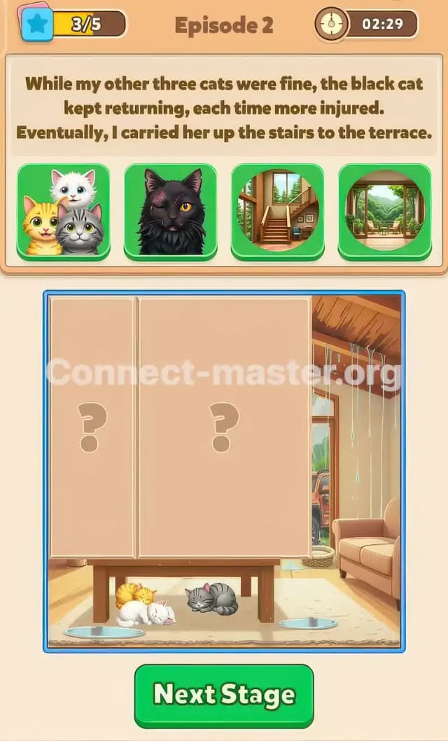 Connect Master Story Answer The Black Cat Episode 2 Stage 3