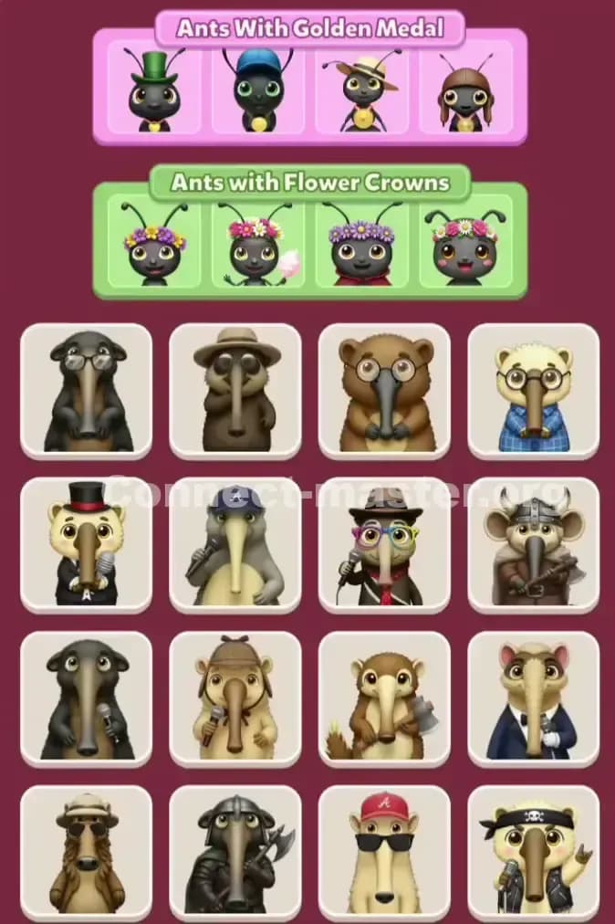 Connect Master Level 1020 Solution 3
