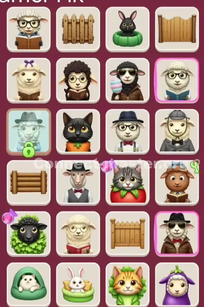 Connect Master Level 950 Solution 2