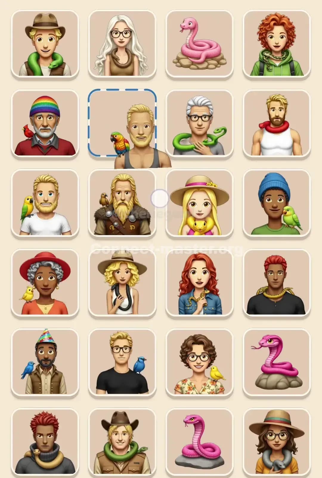 Connect Master Level 755 Solution 2