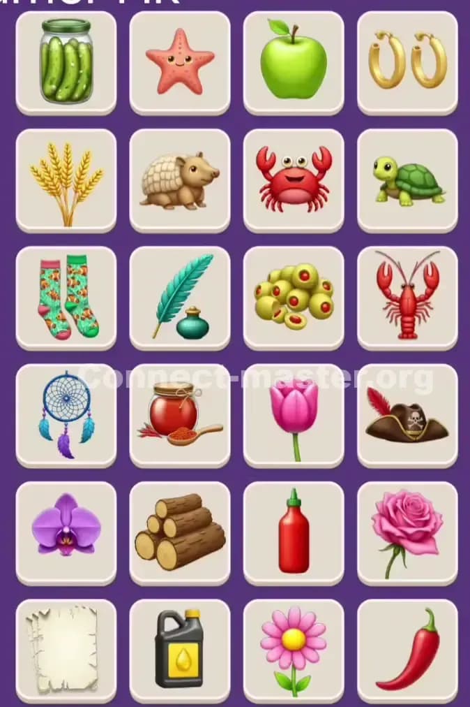 Connect Master Level 915 Solution 2