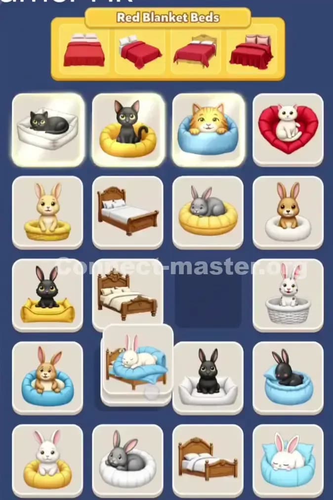 Connect Master Level 941 Solution 2