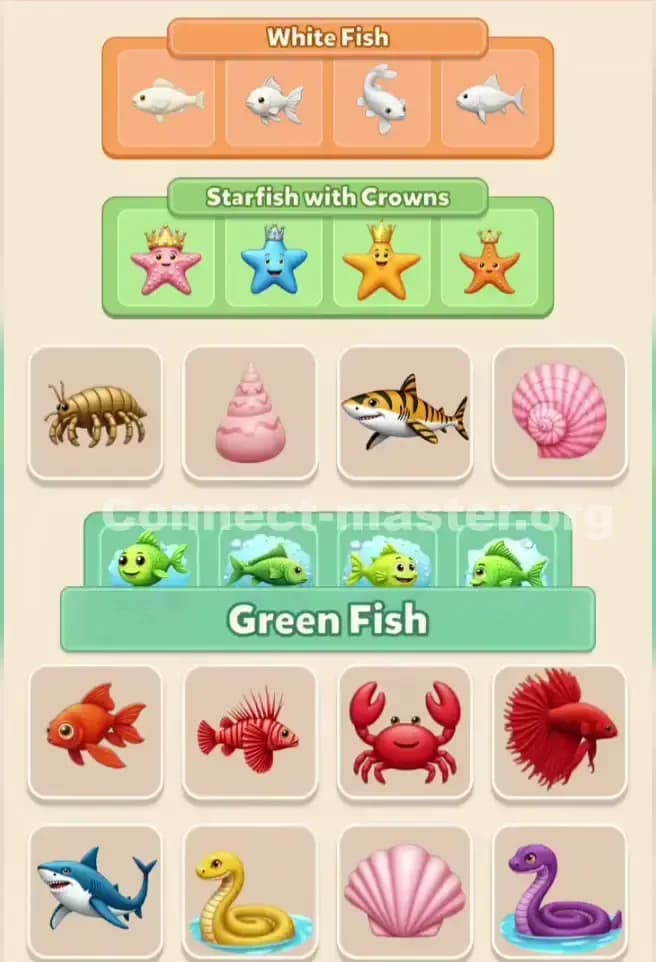 Connect Master Level 359 Solution 3