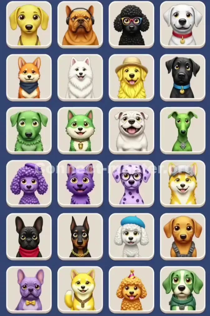 Connect Master Level 911 Solution 3