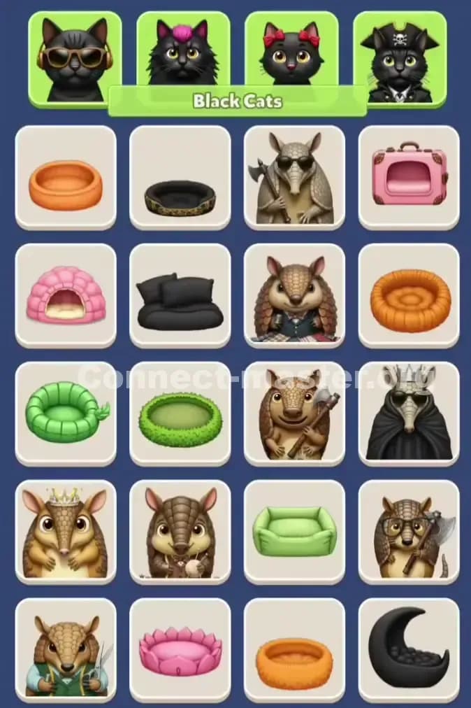 Connect Master Level 896 Solution 2