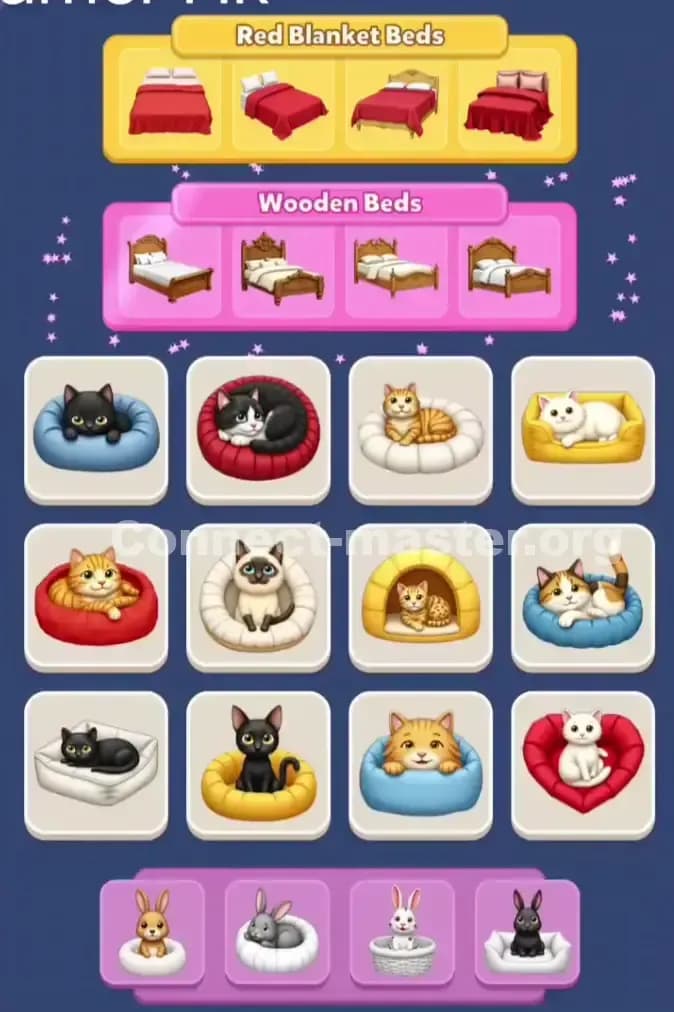 Connect Master Level 941 Solution 3