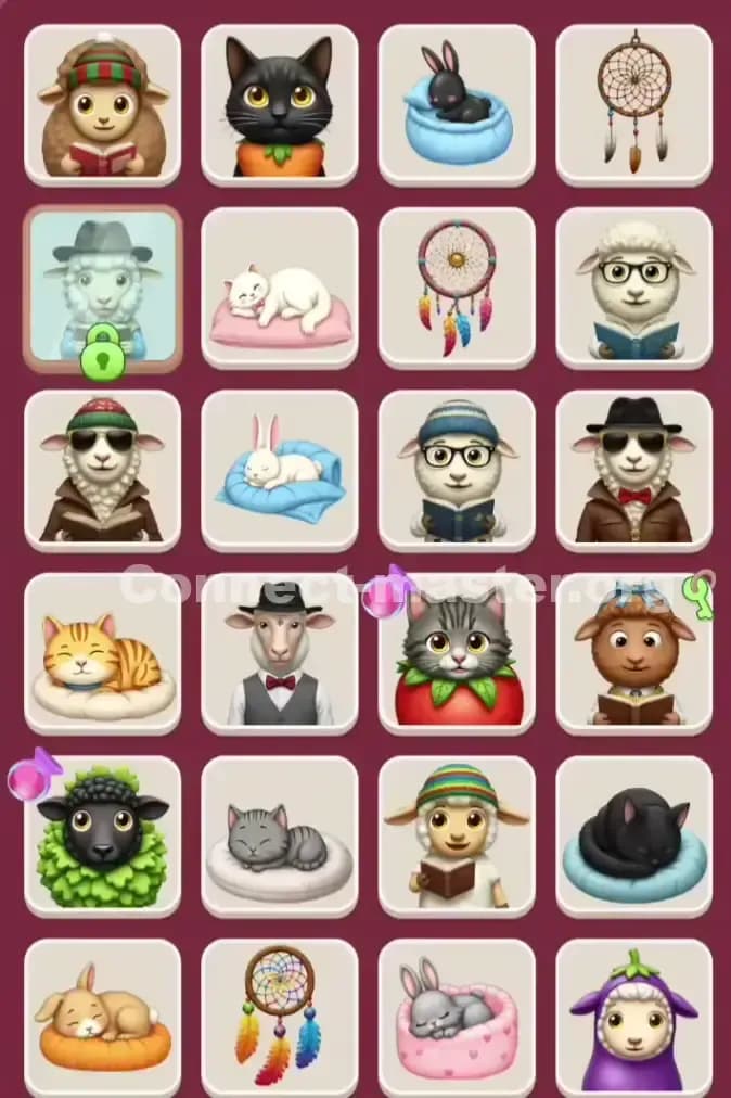 Connect Master Level 950 Solution 1