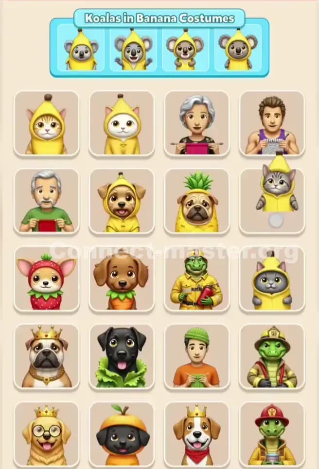 Connect Master Level 390 Solution 2