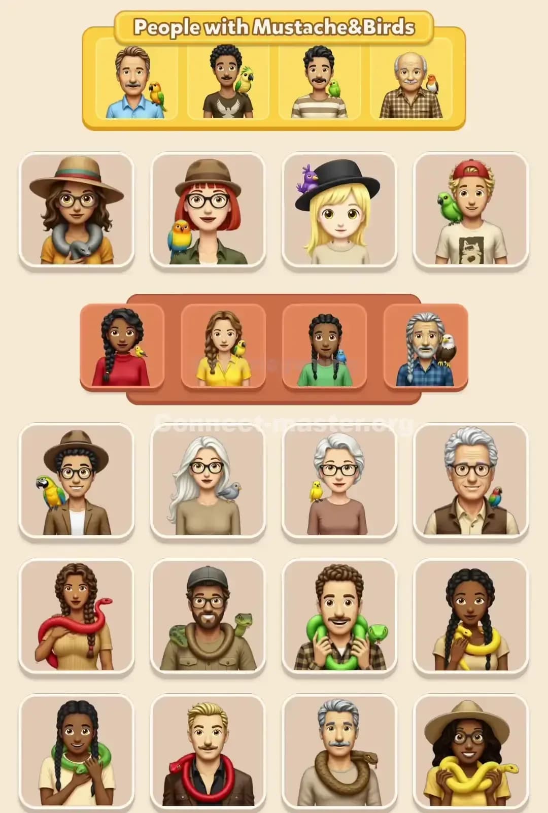 Connect Master Level 800 Solution 3