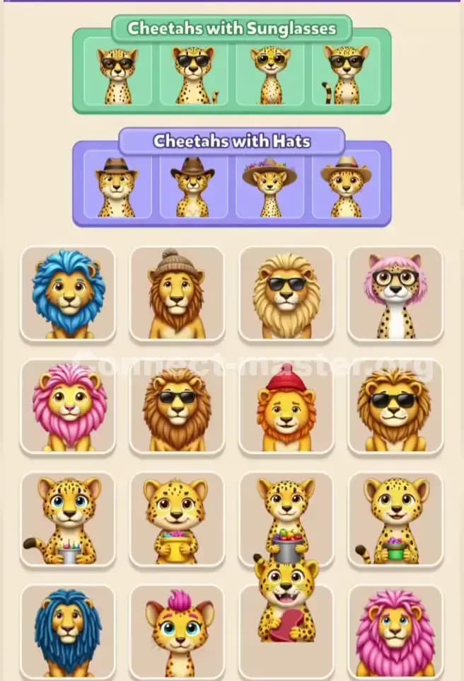 Connect Master Level 355 Solution 2