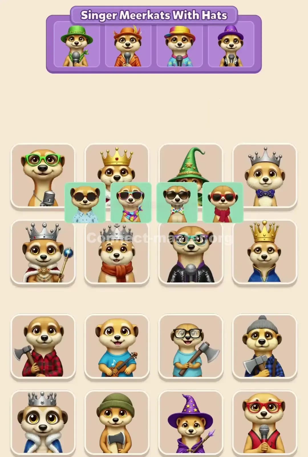 Connect Master Level 660 Solution 3