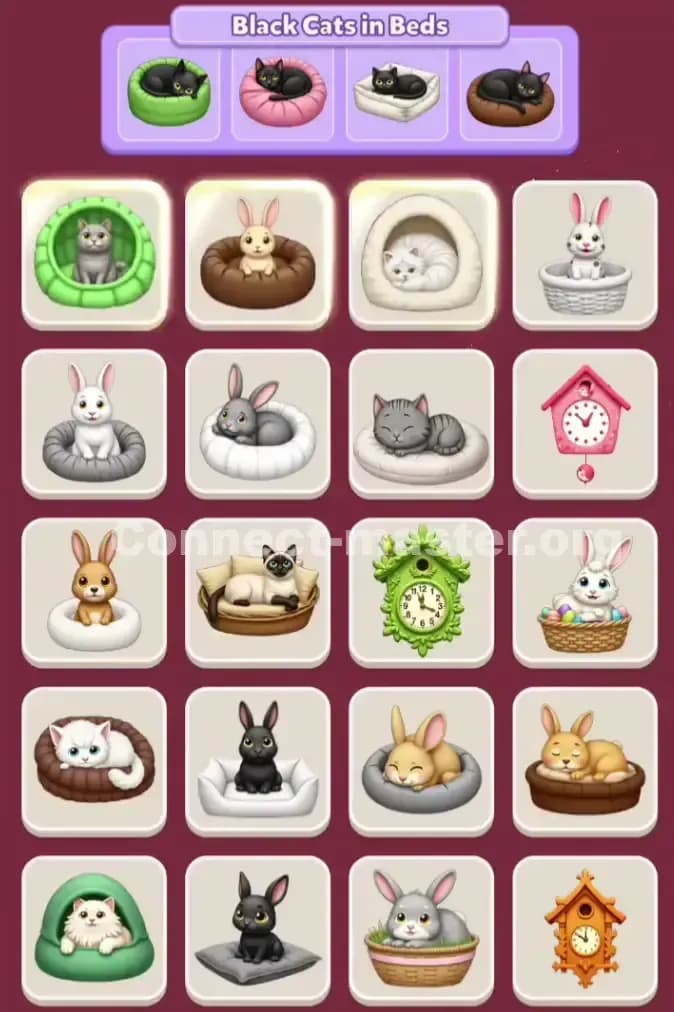Connect Master Level 1110 Solution 2