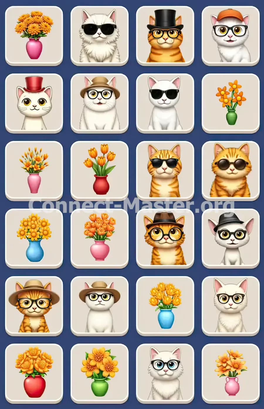 Connect Master Level 867 Solution 1