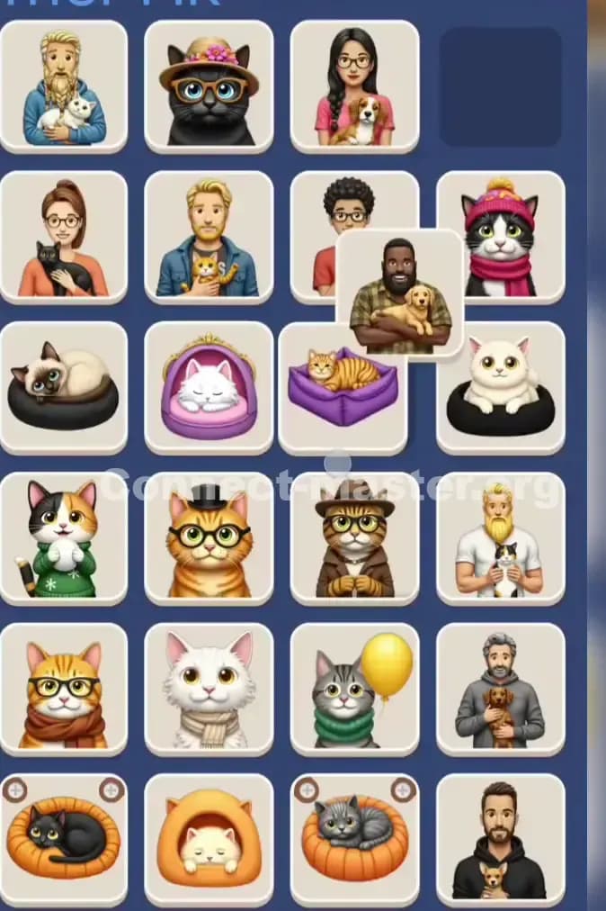 Connect Master Level 1003 Solution 2