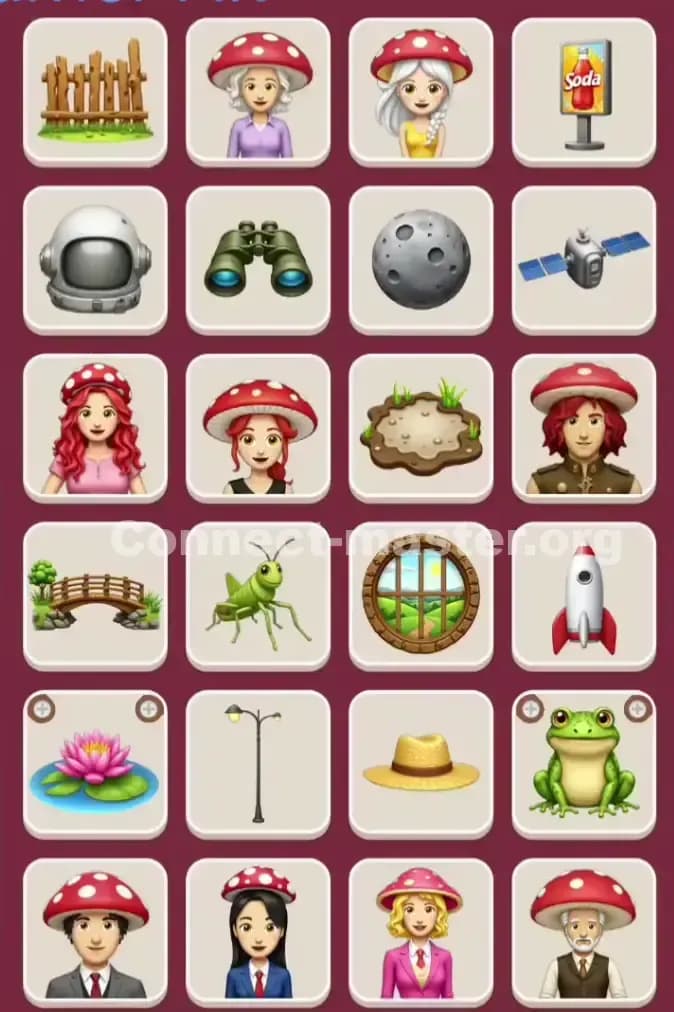 Connect Master Level 1010 Solution 3